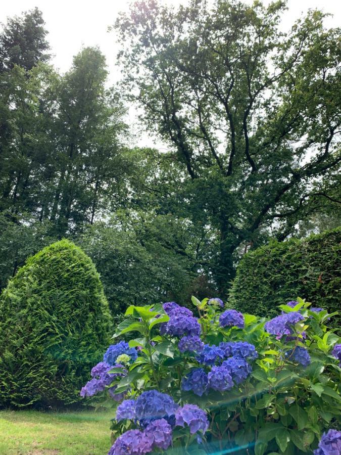 欧特罗Zonnebos, Private Garden, Fresh Air, Relax!别墅 外观 照片