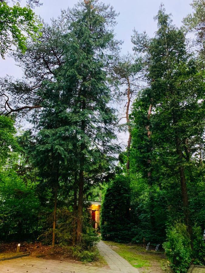 欧特罗Zonnebos, Private Garden, Fresh Air, Relax!别墅 外观 照片